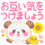 Babyぱんださん❤️夏でか文字