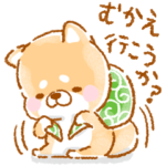 家族❤️いやしばいぬ❤️6