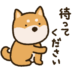 ふわもこ柴犬スタンプ 無料スタンプや隠し無料スタンプが探せる Lineスタンプバンク