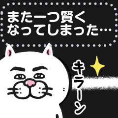 目付きの悪い猫 メッセージ2 再販 無料スタンプや隠し無料スタンプが探せる Lineスタンプバンク