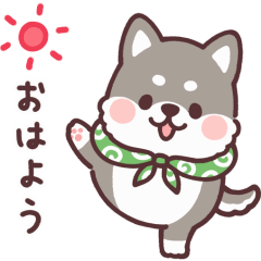 動く ころころ柴犬 黒柴くん Line無料スタンプ 隠しスタンプ 人気スタンプまとめサイト スタンプバンク