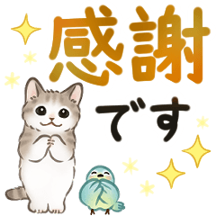 文字大きめ 猫たちのスタンプ Line無料スタンプ 隠しスタンプ 人気スタンプまとめサイト スタンプバンク