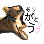 おじいちゃん犬スタンプ特集 無料スタンプや隠し無料スタンプが探せる Lineスタンプバンク