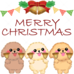 かわいいトイプードル♥ポップアップ