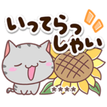 便利なあいさつ♡アメっち