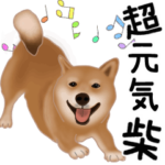 元気いっぱいの柴犬