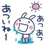 夏のほぼ白うさぎ