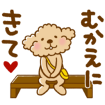 トイプーのぷう太郎 日常会話編