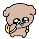 シュールなミニトイプードル