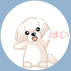 Maltese マルチーズ Ver6 動く3 Line無料スタンプ 隠しスタンプ 人気スタンプ クチコミサイト スタンプバンク