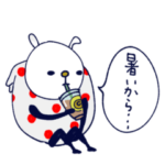 mottoのうさぎをまとううさぎ☆毎日