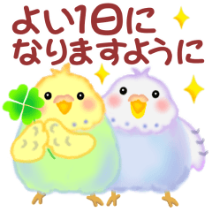 毎日使える仲良しインコさん2