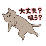 こじめ家の3ネコ