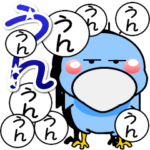 はしびろのコウちゃん