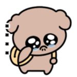 甘え上手♡ミニトイプードル☆カスタム