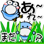 はしびろのコウちゃん３