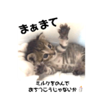 しぴこめスタンプ