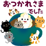 絵本みたいな*飛び出す*ねこねこねこ