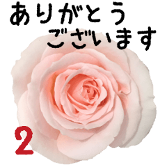 バラの花と敬語メッセージ Line無料スタンプ 隠しスタンプ 人気スタンプまとめサイト スタンプバンク
