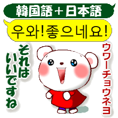 韓国語と日本語 丁寧語 の白熊ちゃん Line無料スタンプ 隠しスタンプ 人気スタンプ クチコミサイト スタンプバンク