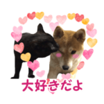 わんこスタンプ特集 Line無料スタンプ 隠しスタンプ 人気スタンプまとめサイト スタンプバンク