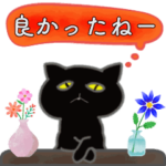 動く‼︎吹き出し黒猫