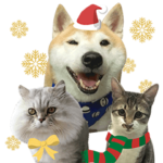 openhabitmobi-part.2