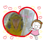 みどりのズボンのインコ〈ver．キキぷり〉