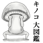 キノコ大図鑑 其之一