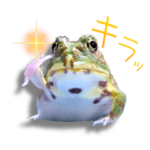 カエル達etcの会話