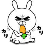 目ヂカラ☆うさぎ