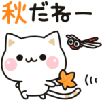 気づかいのできるネコ♪動く秋編