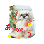 大好きペコちゃん