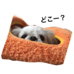 シーズーペコちゃん日常スタンプ