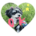 ペコちゃんの日常