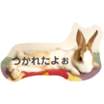 コマメの可愛いスタンプ