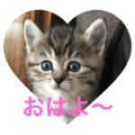 ペコちゃんまん