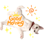 保護猫ペコちゃんのご挨拶スタンプ