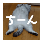 猫スタンプ　大福&ペル②