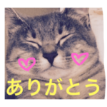 サバトラ猫 ペコちゃんのスタンプ１