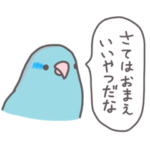 自由なインコと文鳥たち