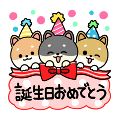 柴犬の誕生日 お祝い ありがとう Line無料スタンプ 隠しスタンプ 人気スタンプ クチコミサイト スタンプバンク