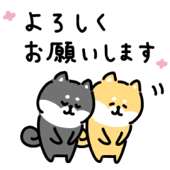 ゆる柴犬スタンプ６ 敬語 Line無料スタンプ 隠しスタンプ 人気スタンプ クチコミサイト スタンプバンク