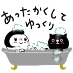 mottoのSSS×クロネコ☆