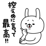 全力うさぎ11名前なし編