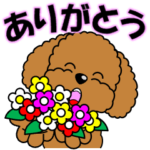 動く！トイプーの日常挨拶スタンプ