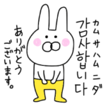 黄色いズボンのうさぎ