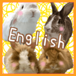 可愛いうさぎがいっぱい！ 英語版
