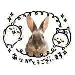 うちの子シリーズ『うさぎのぺろすけくん』