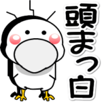 はしびろのコウちゃん４